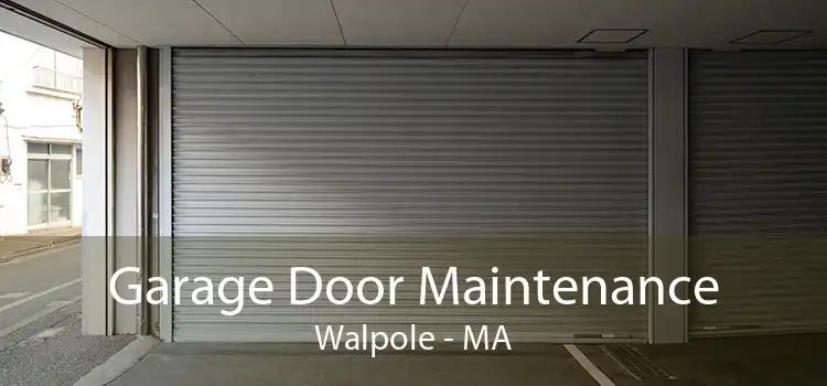 Garage Door Maintenance Walpole - MA