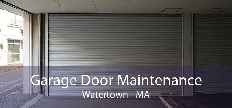 Garage Door Maintenance Watertown - MA