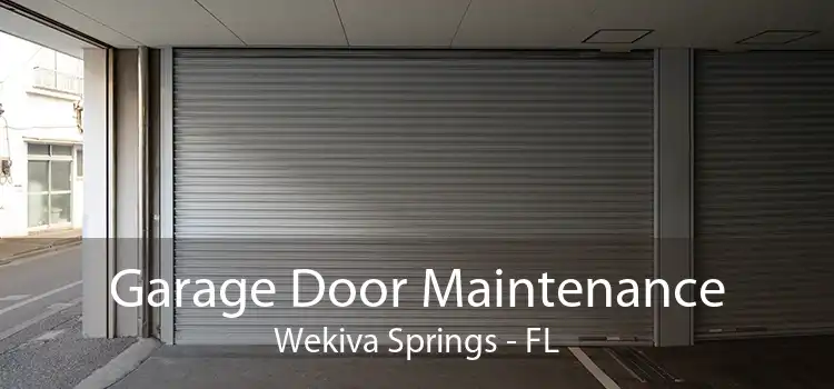 Garage Door Maintenance Wekiva Springs - FL