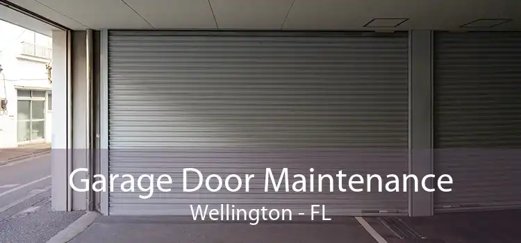  Garage Door Maintenance Wellington - FL