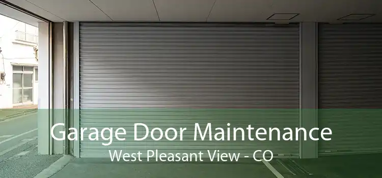 Garage Door Maintenance West Pleasant View - CO