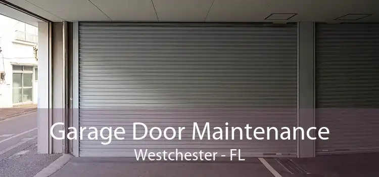 Garage Door Maintenance Westchester - FL