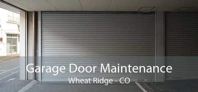 Garage Door Maintenance Wheat Ridge - CO