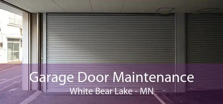 Garage Door Maintenance White Bear Lake - MN