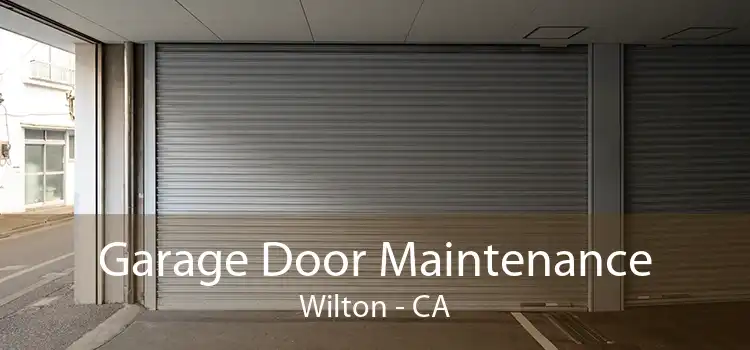 Garage Door Maintenance Wilton - CA