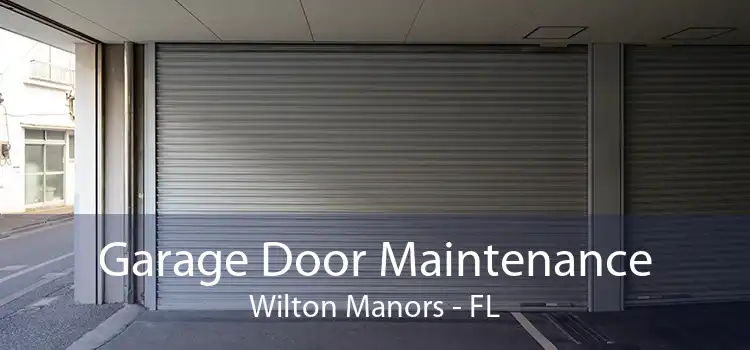 Garage Door Maintenance Wilton Manors - FL