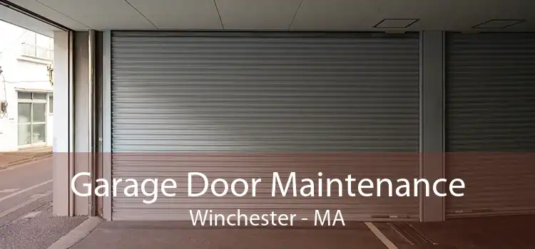 Garage Door Maintenance Winchester - MA