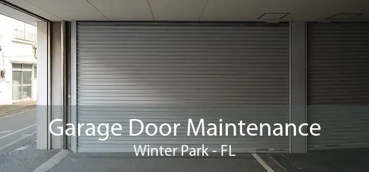 Garage Door Maintenance Winter Park - FL