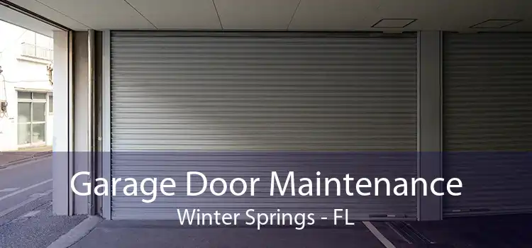 Garage Door Maintenance Winter Springs - FL