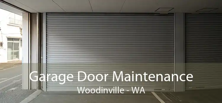 Garage Door Maintenance Woodinville - WA