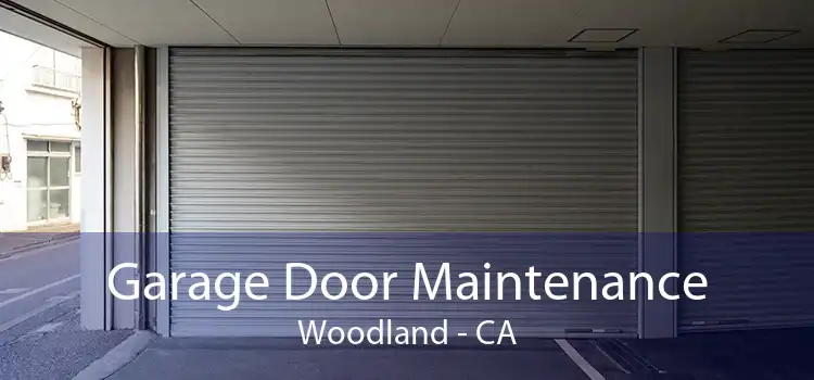 Garage Door Maintenance Woodland - CA
