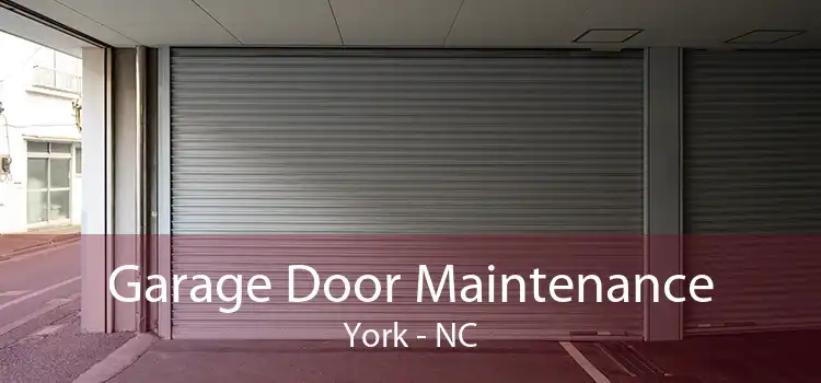 Garage Door Maintenance York - NC
