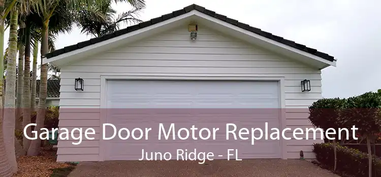 Garage Door Motor Replacement Juno Ridge - FL