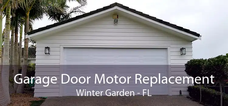 Garage Door Motor Replacement Winter Garden - FL