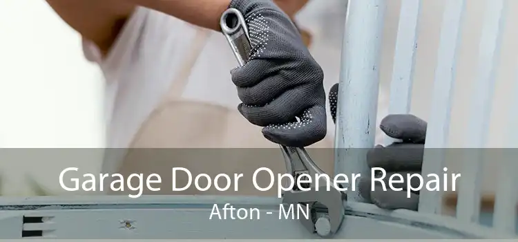 Garage Door Opener Repair Afton - MN