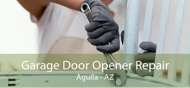 Garage Door Opener Repair Aguila - AZ