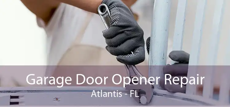 Garage Door Opener Repair Atlantis - FL