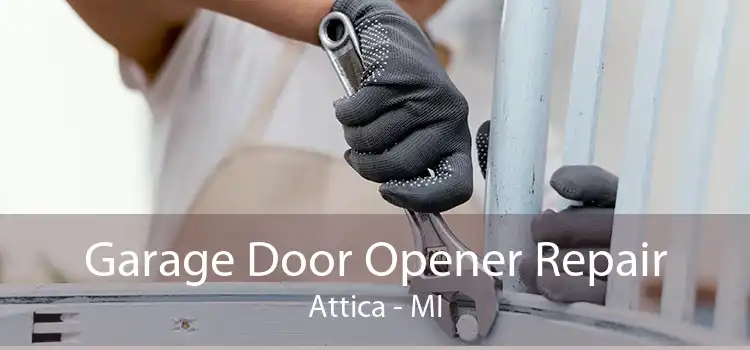 Garage Door Opener Repair Attica - MI