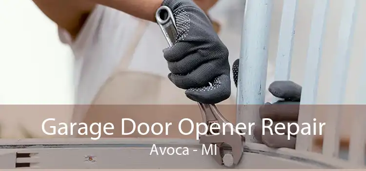 Garage Door Opener Repair Avoca - MI