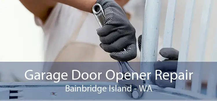 Garage Door Opener Repair Bainbridge Island - WA