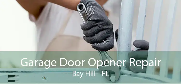 Garage Door Opener Repair Bay Hill - FL