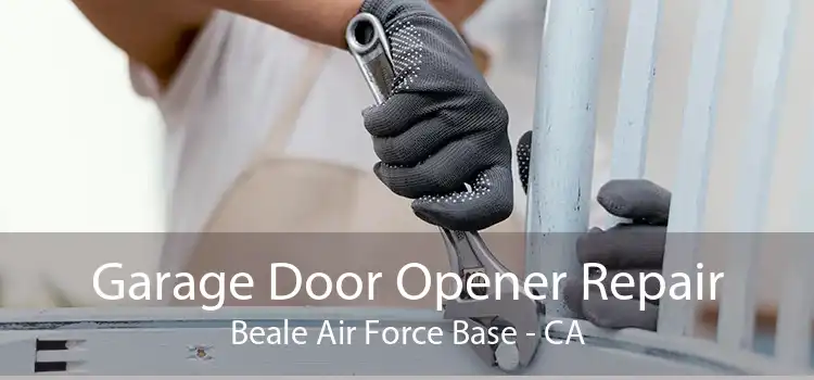 Garage Door Opener Repair Beale Air Force Base - CA