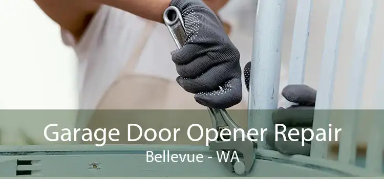  Garage Door Opener Repair Bellevue - WA