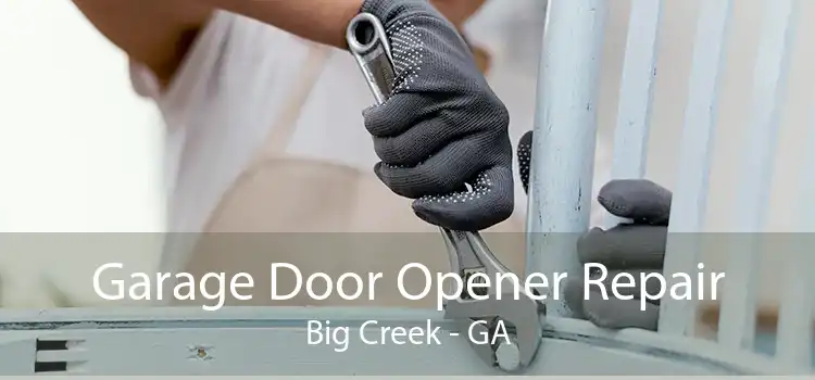 Garage Door Opener Repair Big Creek - GA