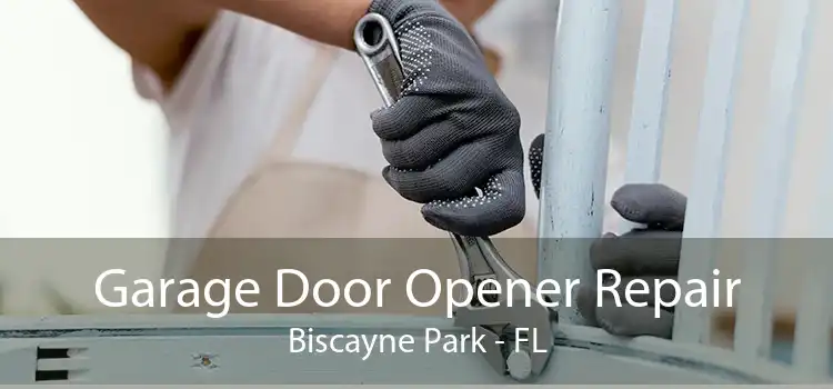 Garage Door Opener Repair Biscayne Park - FL