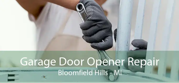 Garage Door Opener Repair Bloomfield Hills - MI