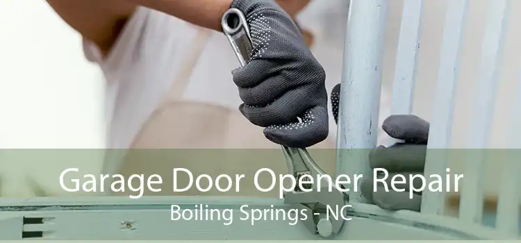 Garage Door Opener Repair Boiling Springs - NC