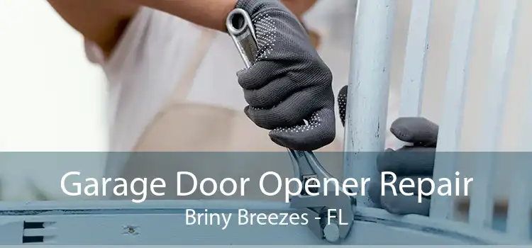 Garage Door Opener Repair Briny Breezes - FL
