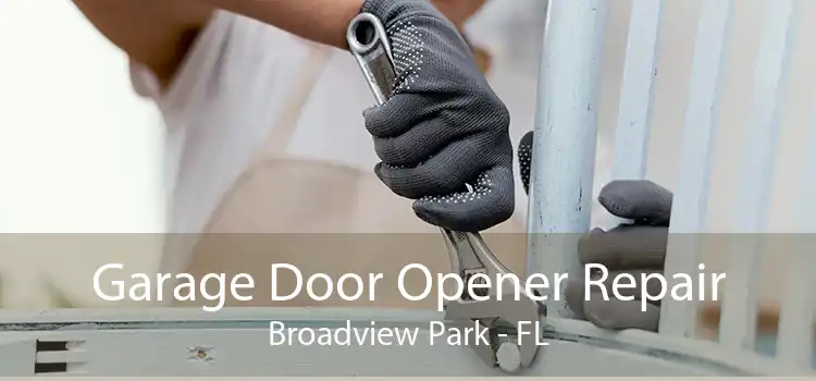 Garage Door Opener Repair Broadview Park - FL