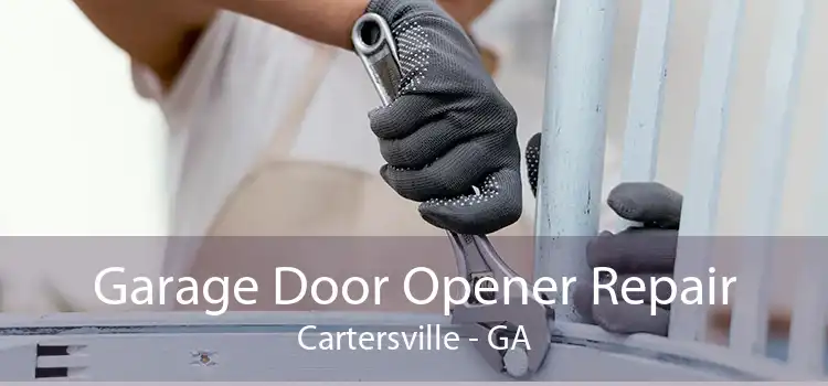 Garage Door Opener Repair Cartersville - GA
