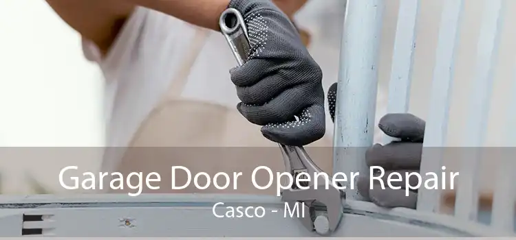 Garage Door Opener Repair Casco - MI