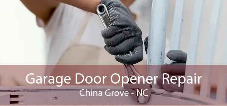 Garage Door Opener Repair China Grove - NC