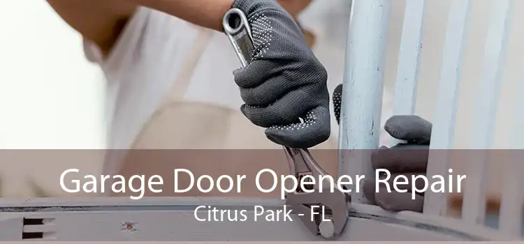 Garage Door Opener Repair Citrus Park - FL