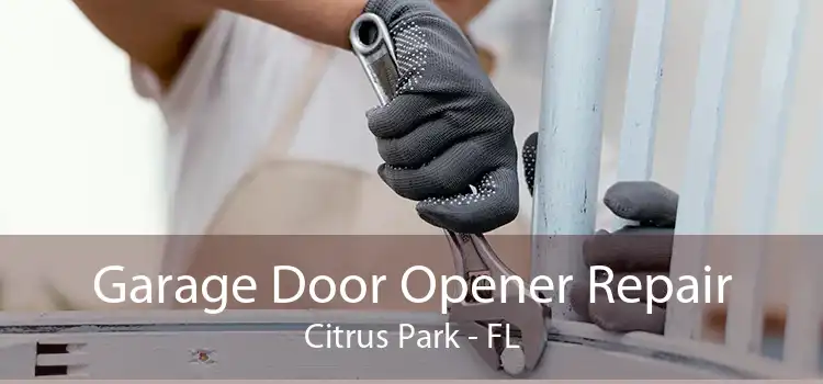  Garage Door Opener Repair Citrus Park - FL