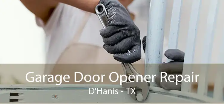 Garage Door Opener Repair D'Hanis - TX