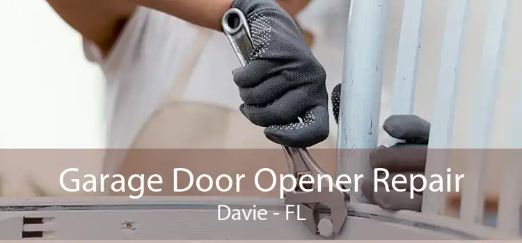 Garage Door Opener Repair Davie - FL