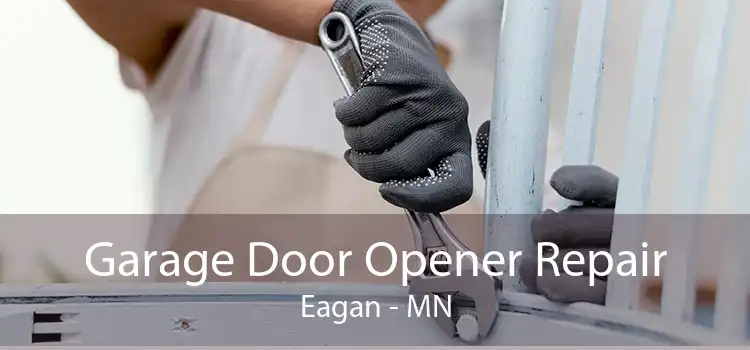 Garage Door Opener Repair Eagan - MN
