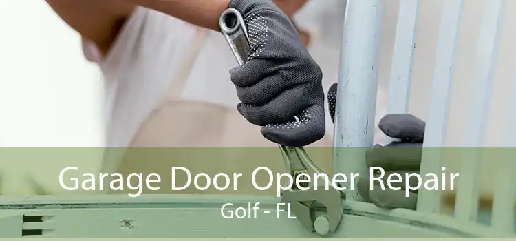 Garage Door Opener Repair Golf - FL