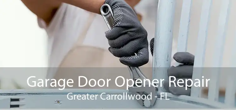 Garage Door Opener Repair Greater Carrollwood - FL