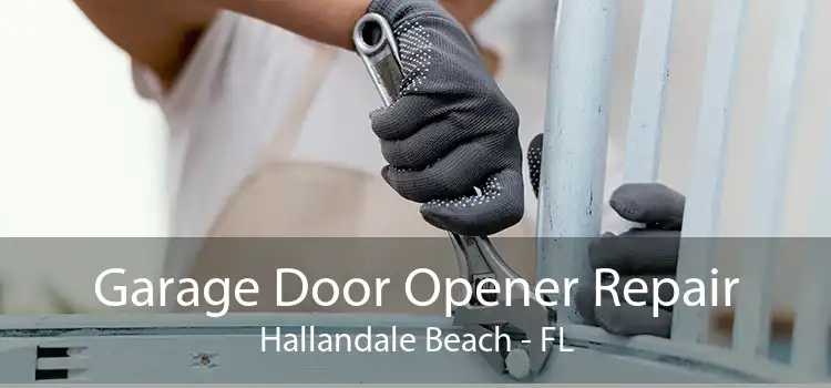 Garage Door Opener Repair Hallandale Beach - FL