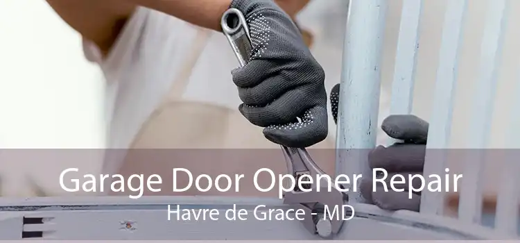 Garage Door Opener Repair Havre de Grace - MD