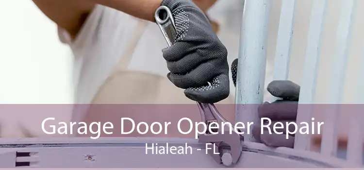 Garage Door Opener Repair Hialeah - FL