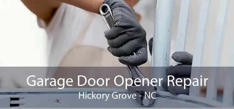 Garage Door Opener Repair Hickory Grove - NC
