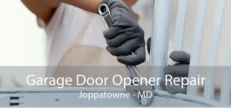 Garage Door Opener Repair Joppatowne - MD