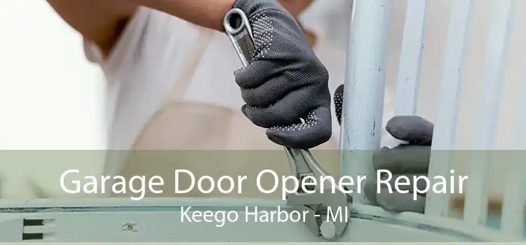 Garage Door Opener Repair Keego Harbor - MI
