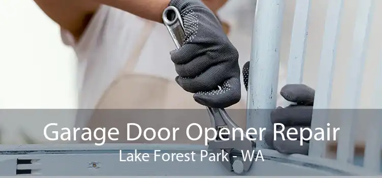 Garage Door Opener Repair Lake Forest Park - WA